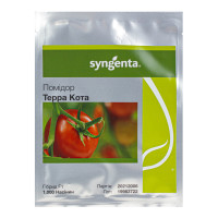 Насіння томату Терра Кота F1  | Terra Cotta F1 Syngenta 1000 насінин